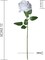 12 pcs Artificial White Roses, Silk Roses with Stems Realistic Fake Rose Flower Bouquet for Wedding Arrangement Centerpieces Party Home Table Decorations